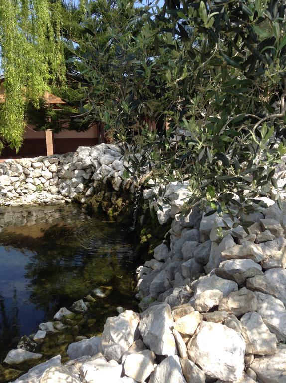 Вилла Tenuta Sciacca Falciano del Massico Экстерьер фото